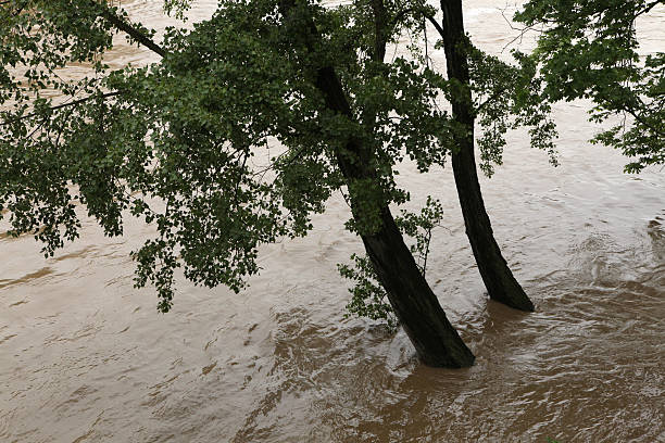 istock Floods in Prague, Czech Republic, June 2013 464642610