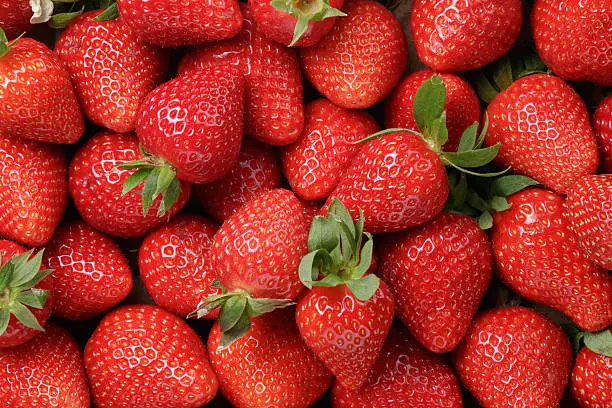 Photo of background from freshly harvested strawberries