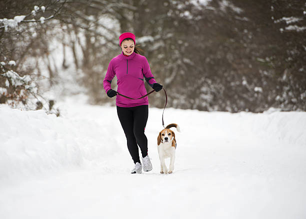 running femme hiver - snow dog walking running photos et images de collection