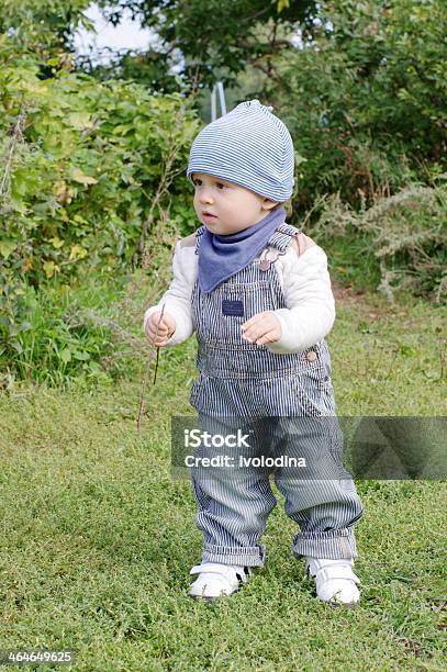 Baby Walking In Park Stock Photo - Download Image Now - 12-23 Months, Animal, Babies Only