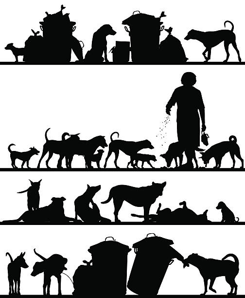 ilustrações de stock, clip art, desenhos animados e ícones de cão foregrounds rua - desperdício alimentar