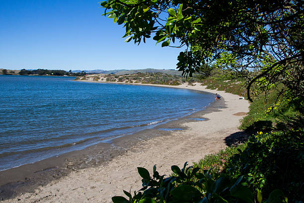 istock THe narrow sandy beach of Bodega Harbor 464653442