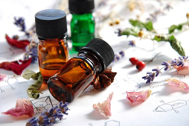 Herbal apothecary with dried herbs and flowers stock photo