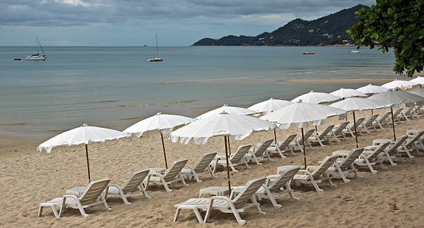 istock Beach with loungers and umbrellas 464653858