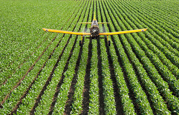 Crop duster airplane spraying rows of crops Unique perspective of an Aerial Sprayer Airplane flying low over a farmer’s field applying pesticides on the crops.  All logos have been removed. airplane part stock pictures, royalty-free photos & images