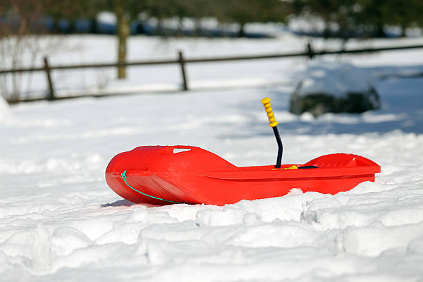 istock Red bob in the snow in the mountains 464659134