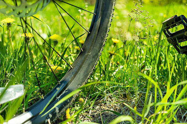 istock Bicycle wheel in the grass 464661628