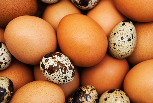 Foto de Diferentes Tipos De Ovos e mais fotos de stock de 2015 - 2015 ...