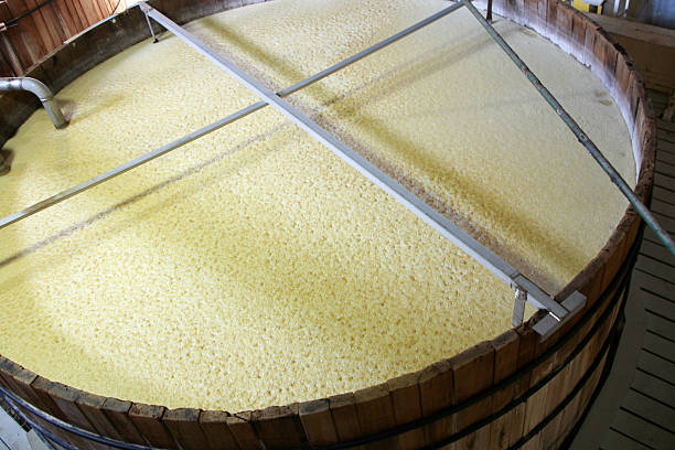 Bourbon, beer or whiskey fermenting tank Open top fermenter shows the fermentation process of turning grain into alcohol. pilsen stock pictures, royalty-free photos & images