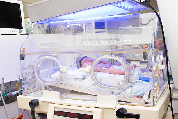 istock Newborn baby inside hospital incubator 464671670