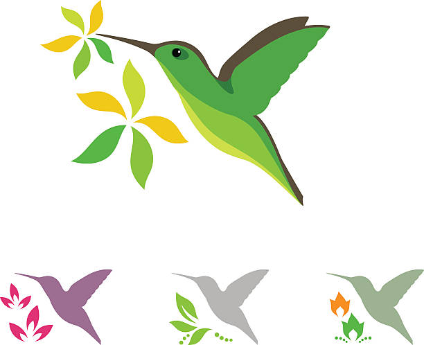 Humming bird and flower icons vector art illustration