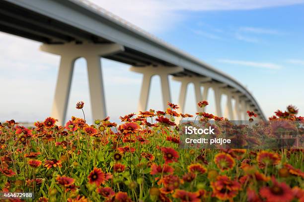 Natur Im Vergleich Zum Städtischen Lebens Stockfoto und mehr Bilder von 2015 - 2015, Bauwerk, Bildschärfe