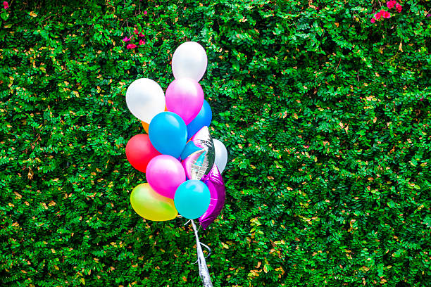 istock colorful balloon on green leaves wall background 464673186