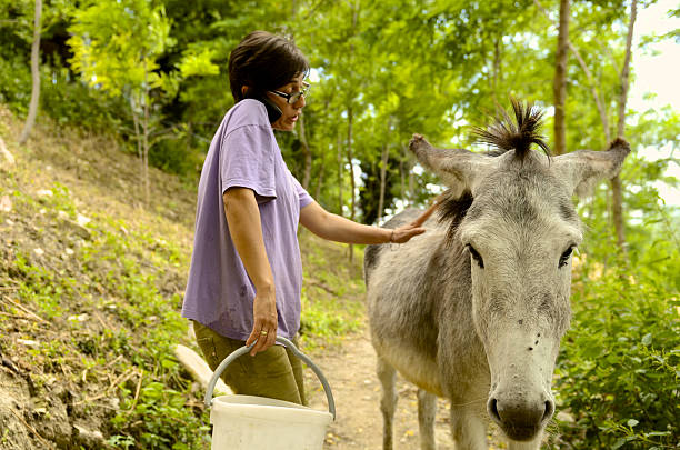 pet therapy teacher with donkey