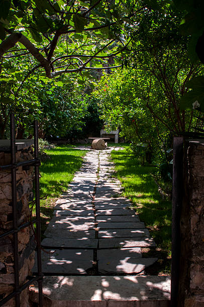 istock Walkway in the garden 464676296