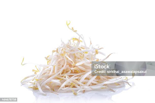 Mung Beans Or Bean Sprouts Isolated On A White Stock Photo - Download Image Now - Seedling, Vigna, Mung Bean