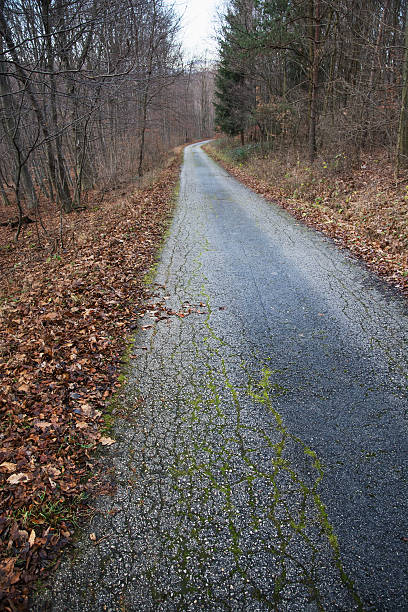 istock Hiking trail in the autumn deciduous forest 464685312