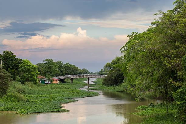 Rangsit Canal with hyacinth stock photo