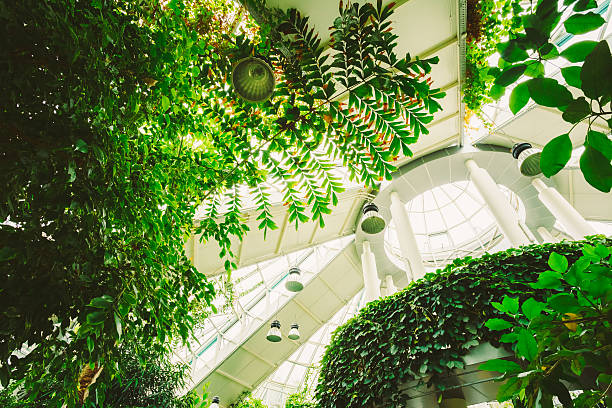 istock Greenhouse With Flowers. Temperate House Conservatory, Botanical 464695584