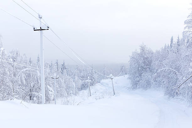 istock Power line in the winter forest 464696102