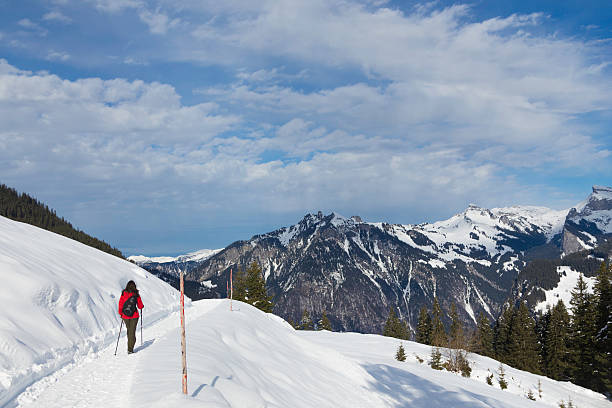 istock Female Hiker in snow covered mountains 464696202