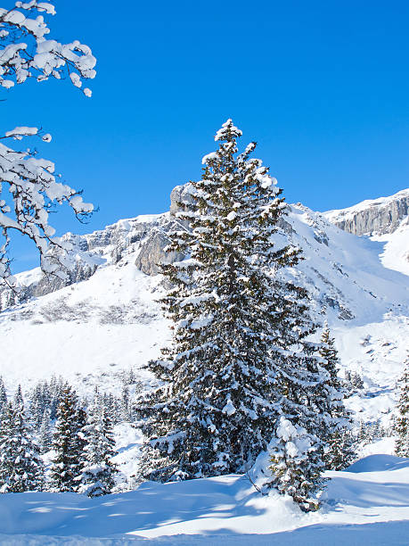 istock Winter in the alps 464696692