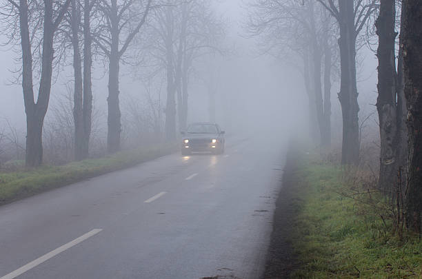 istock Driving car on foggy day 464701803