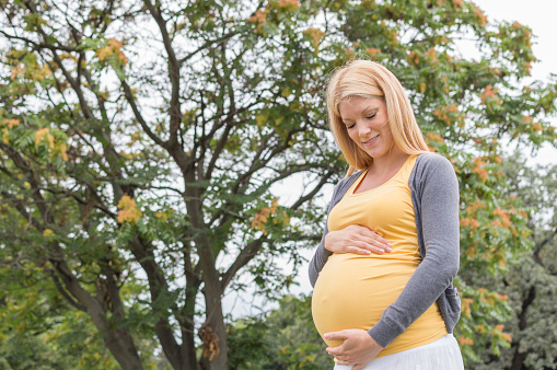 Pregnant's woman touching her belly with her hands.
