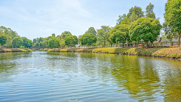 istock Beautiful lake with green tree 464702834