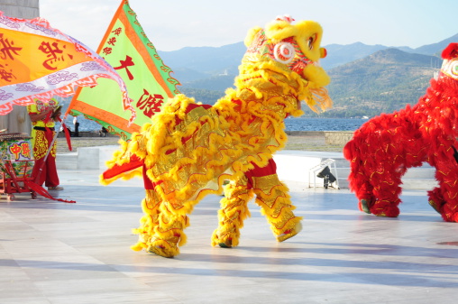 amusement, dragon, demonstration, show, dance