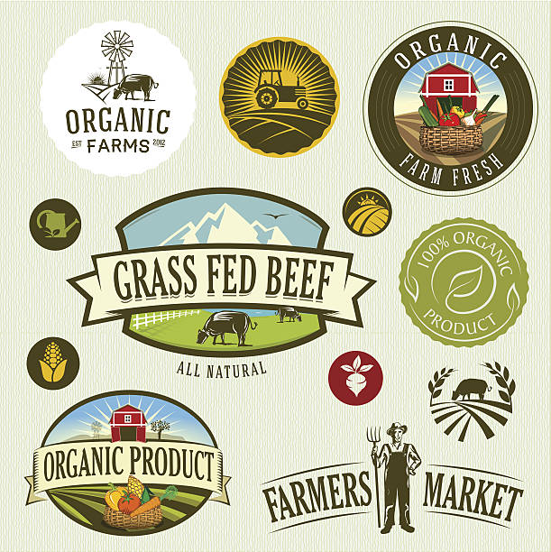 organic & farm organic & farm-vector labels and elements corn crop stock illustrations