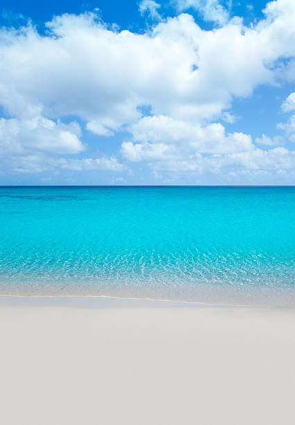 istock beach tropical with white sand and turquoise wate 464705350