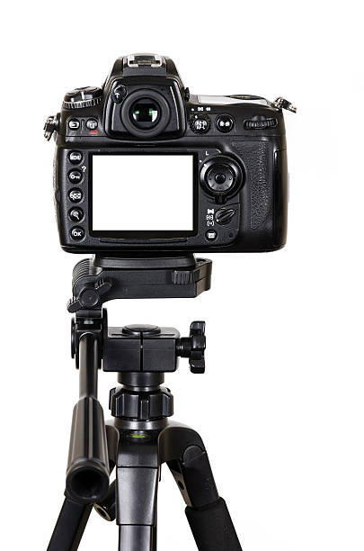 dslr-kamera mit leeren leinwand auf stativ, isoliert auf weiss - rückansicht fotos stock-fotos und bilder