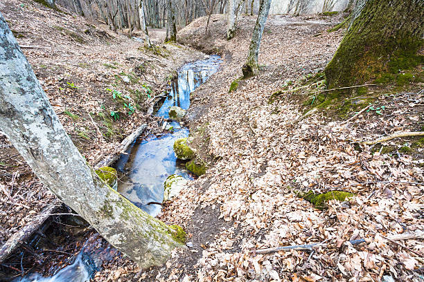 istock mountain landscape with brook in forest in spring 464705884