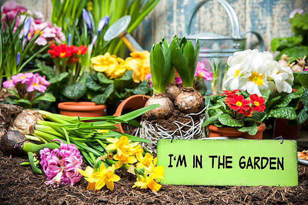 istock i am in the garden sign 464709048