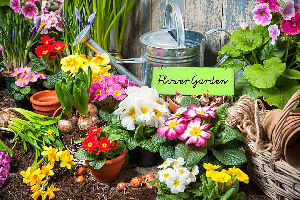 istock Flower garden sign 464709050