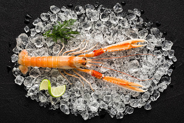 istock Fresh scampi shrimp on ice on a black stone table 464716496