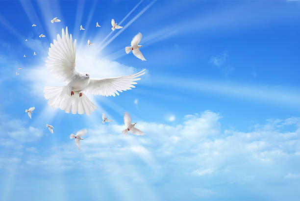 istock Holy spirit dove flying in the sky 464717220