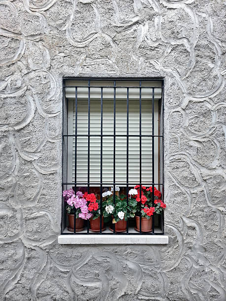 istock Window with Flowers and a white sunblind 464720314