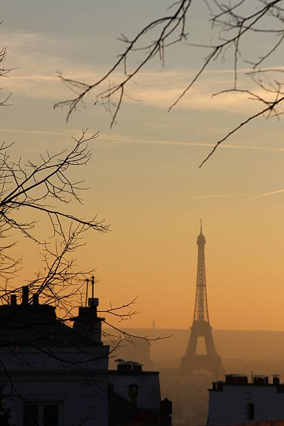 istock Eiffel tower View over roofs in Paris 464721954
