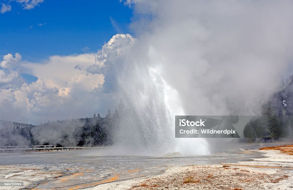 Unusual Geyser Erupting at an angle Daisy Geyser Erupting at an angle in Yellowstone National Park 2015 Stock Photo