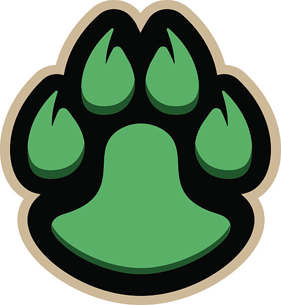 paw-logo - puma raubkatze stock-grafiken, -clipart, -cartoons und -symbole