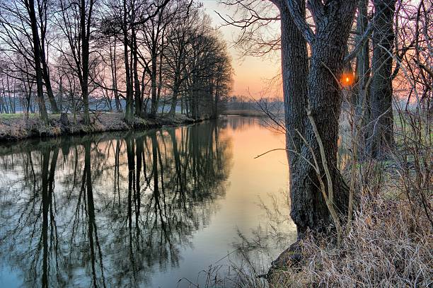 スプリー川の冬 - シュプレーヴァルト ストックフォトと画像