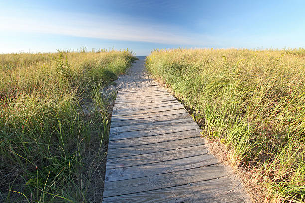 istock Cedar Beach, Mount Sinai, New York 464725896