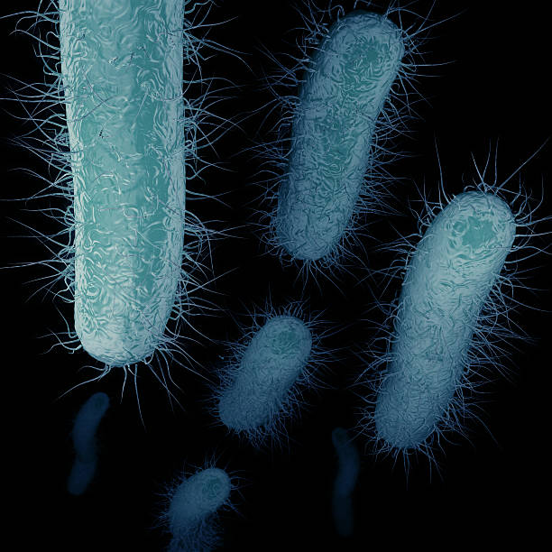 Carbapenem-Resistant Enterobacteriaceae (CRE) Swimming stock photo