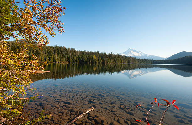 las narodowy mount hood lost lake - mt hood national park zdjęcia i obrazy z banku zdjęć