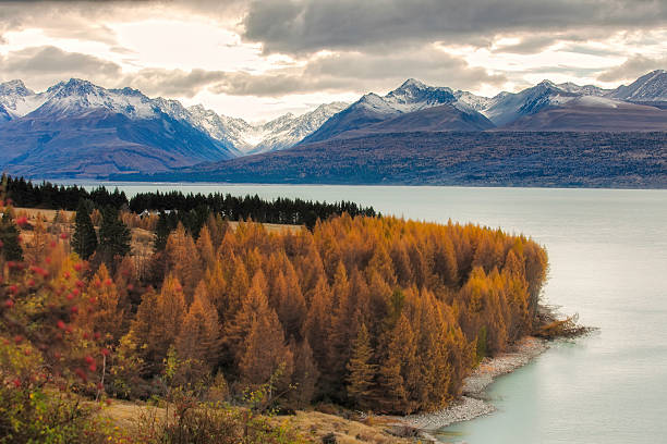 istock New Zealand lake and mountain 464730134