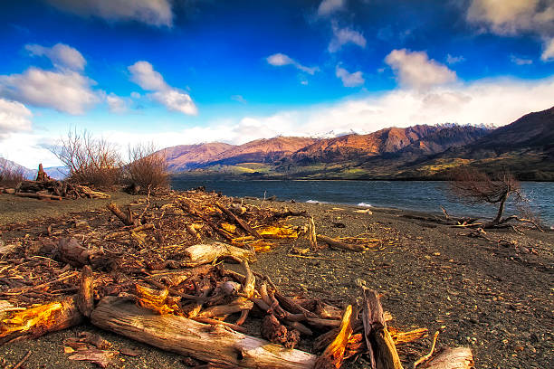 istock New zealand landscape 464730140