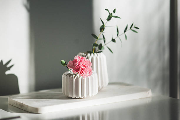 ceramic white vases on white background