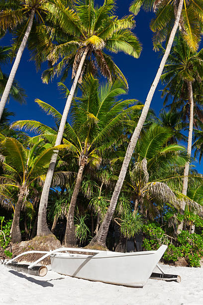 istock Wooden boat on tropical beach with coconut palm trees, Boracay 464731920